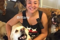 Brittany