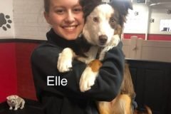 Elle