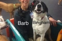 Barb