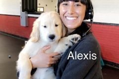Alexis