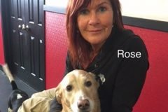 Rose